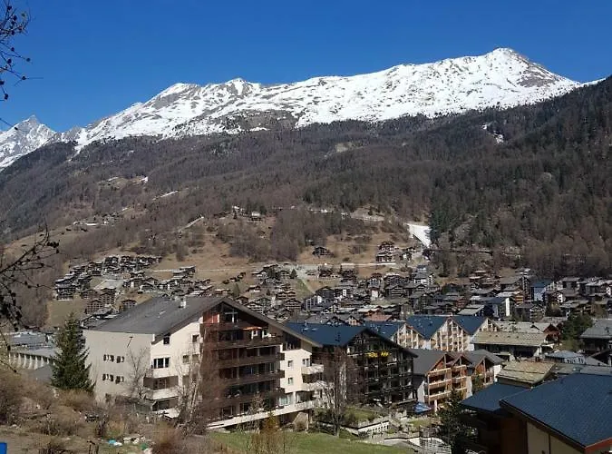 Zayetta Ice Cube Nr. 11 체르마트