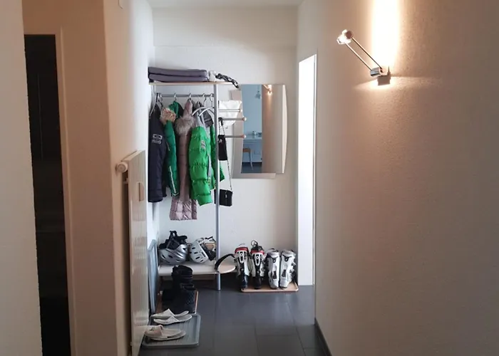 Zayetta Ice Cube Nr. 11 צרמט