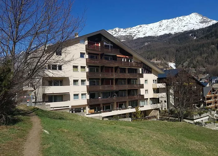 Zayetta Ice Cube Nr. 11